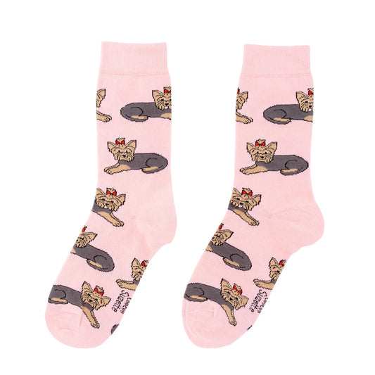 Socks ''Yorkshire Terrier''